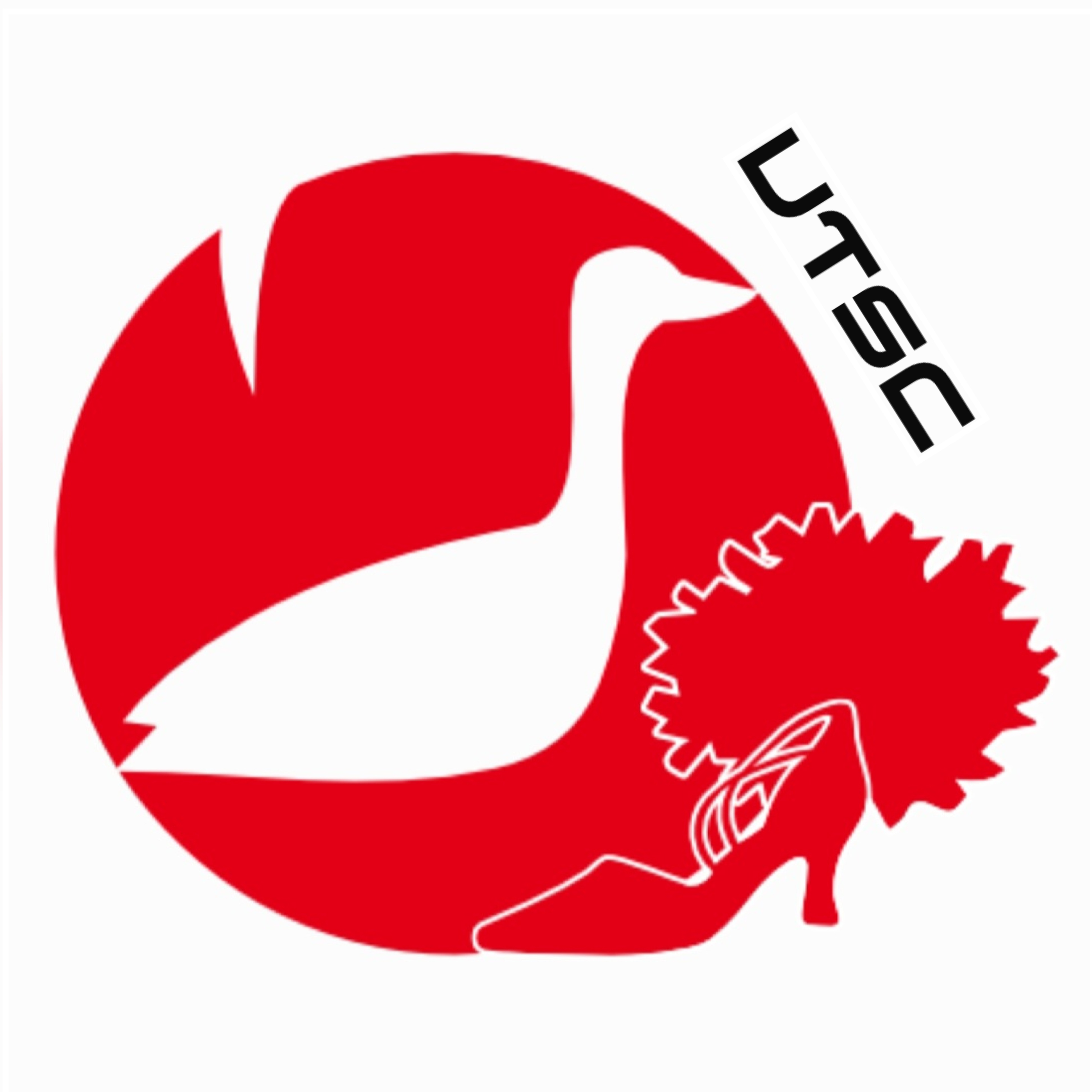 UNION Tanzsport & Cheerleading Raiffeisenbank Gänserndorf