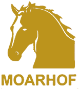 UNION Team Moarhof Logo